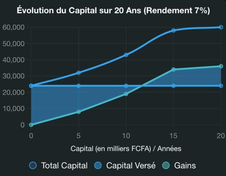 Simulation investissement 100 euros par mois pendant 20 ans en Afrique : capital final 60 000 euros avec gains de 36 000 euros